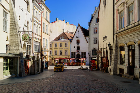 Tallinn, Estonia - May 28, 2020: View to Tallinn Old Town buildings from Town Hall squareのeditorial素材