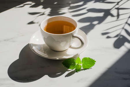 Cup of herbal mint tea at marble table with hard sun lught and plant shadowsの写真素材