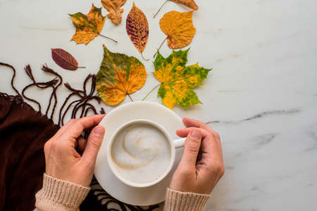Cup of latte or cappuccino coffee with autumn leaves on marble background. Woman hands in beige sweater and scarfの写真素材