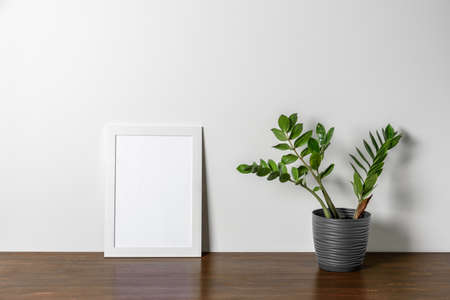 White wooden Photo or poster frame mock up on table with home plant. Minimalの写真素材