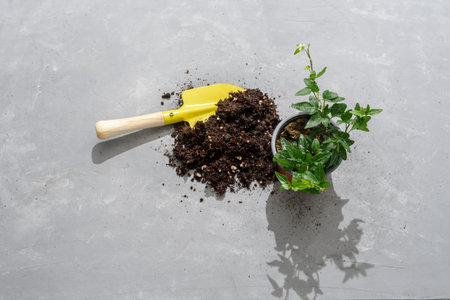 Home gardening set of tools. Soil, plant pots, gloves, shovel, rake, ivy on concrete background