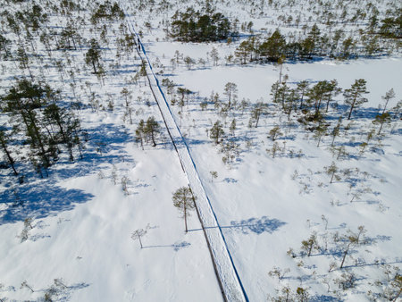 Aerial view to hiking trail in winter bog and forest snow covered in Estonia