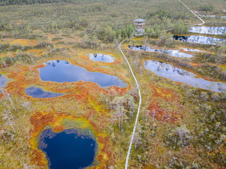 Wooden hiking trails in swamps or bog in Estonia. Drone aerial view