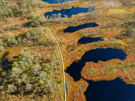 Wooden hiking trails in swamps or bog in Estonia. Drone aerial view