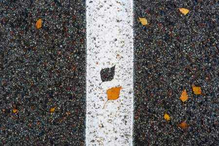 White Road median strip with leaf imprint and yellow birch leaf near it