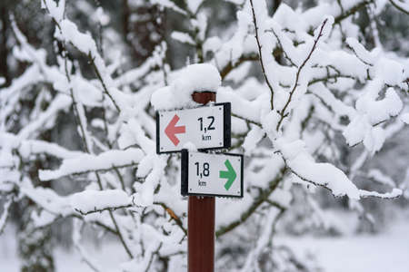 Hiking trail sign in Estonian forest at ssnowy winter dayの写真素材