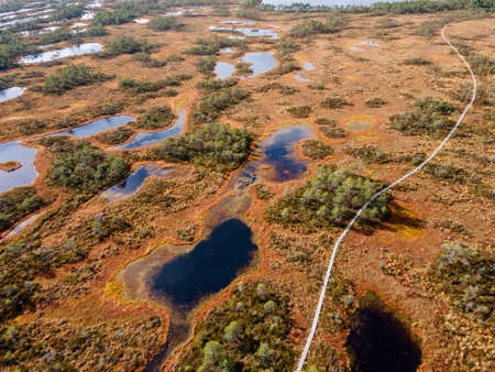 Wooden hiking trails in swamps or bog in Estonian nature reserve Kakerdaja. Drone aerial viewの写真素材