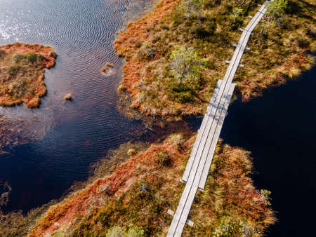 Wooden hiking trails in swamps or bog in Estonian nature reserve Kakerdaja. Drone aerial viewの写真素材