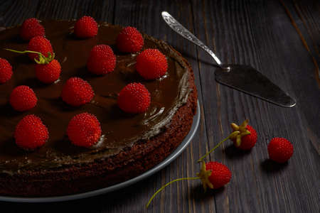 Dark chocolate cake with bright red berries on a dark wooden background, next to a spatula on the table and a few berries.の写真素材