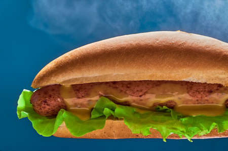 Hot hot dog with mustard close-up on a blue background.の写真素材