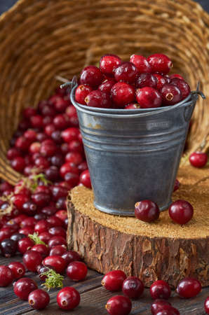 A small metal bucket with cranberries stands on a cut of a tree, cranberries are scattered nearby, wicker straw with berries in the background. Vertical orientation.の写真素材