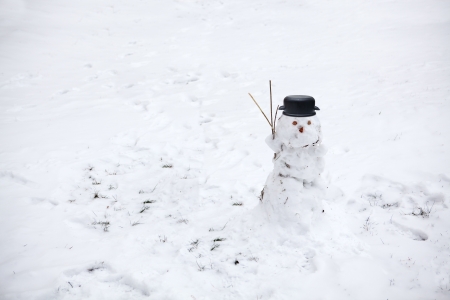 little small snowmanの写真素材