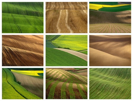 collage fieldsの写真素材