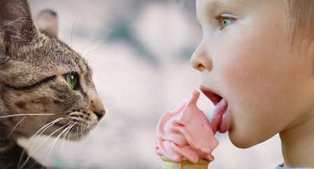 Small child eats strawberry ice cream and catの写真素材