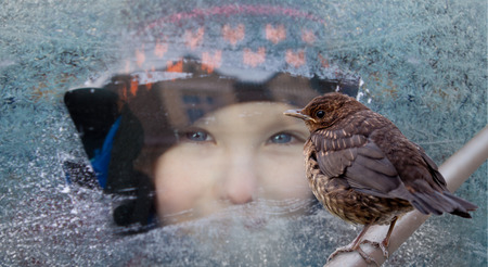 small child looks through a frosted windowの写真素材