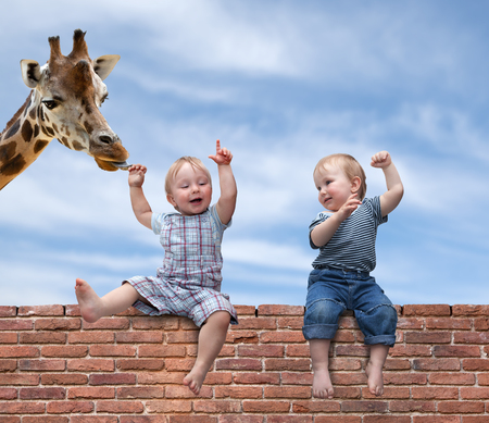 Two boys playing with a giraffeの写真素材