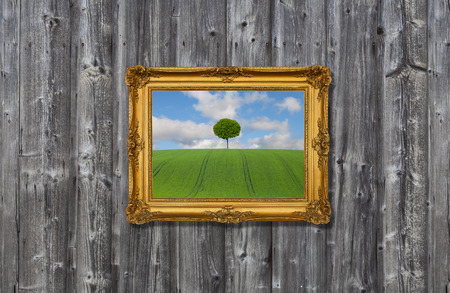 landscape in a gold frameの写真素材