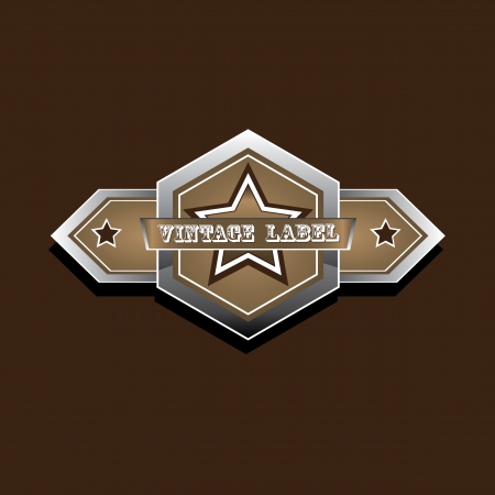 vector vintage star label retro styleのイラスト素材