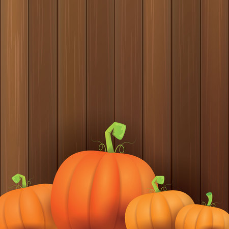 autumn vector orange pumpkins border design template for banners and thanksgiving day backgrounds.のイラスト素材