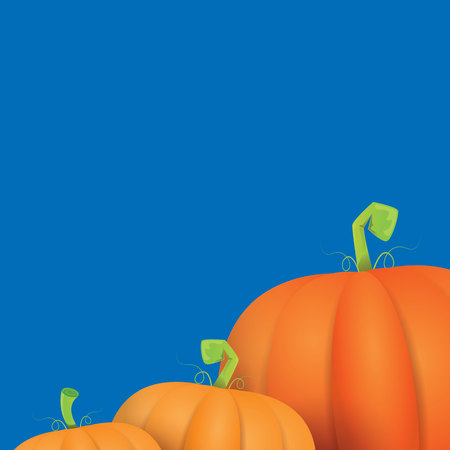 autumn vector orange pumpkins border design template for banners and thanksgiving day backgrounds.のイラスト素材
