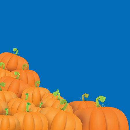 autumn vector orange pumpkins border design template for banners and thanksgiving day backgrounds.のイラスト素材