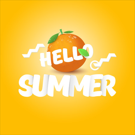 Vector Hello Summer label or flyer Design template with fresh orange fruit isolated on orange background. Hello summer concept label or poster with fruit and letternig textのイラスト素材