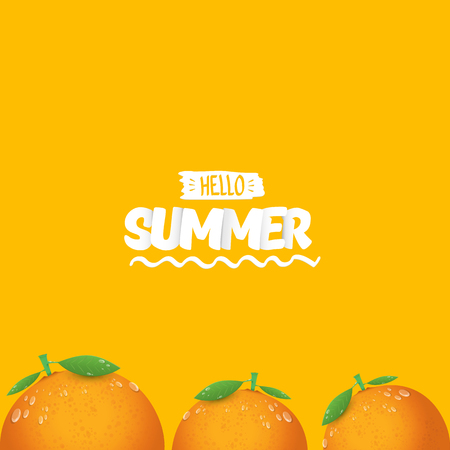 Vector Hello Summer label or flyer Design template with fresh orange fruit isolated on orange background. Hello summer concept label or poster with fruit and letternig textのイラスト素材
