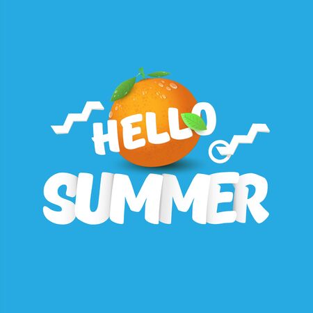 Vector Hello Summer label or flyer Design template with fresh orange fruit isolated on blue background. Hello summer concept label or poster with fruit and letternig textのイラスト素材
