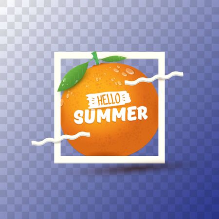 Vector Hello Summer label Design template with fresh orange fruit isolated on transparent background. Hello summer concept label or poster with fruit and letternig textのイラスト素材