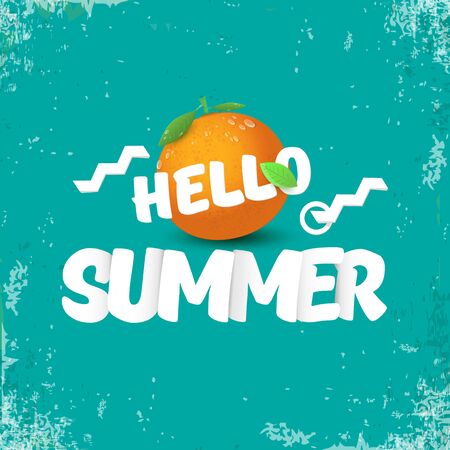 Vector Hello Summer party label or flyer Design template with fresh orange fruit on azure background. Hello summer concept label or poster with fruit and letternig textのイラスト素材