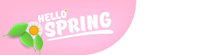 Hello spring pink and white horizontal banner with text and flowers. hello spring slogan or label isolated on pink background. Springtime banner, corner , sticker and headerのイラスト素材