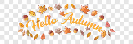 vector hello autumn horizontal banner or label with text and falling autumn leaves on transparent horizontal background. Cartoon hello autumn poster, flyer or wide bannerのイラスト素材
