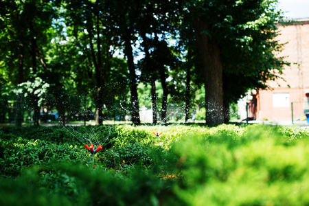 Watering green grass on lawn.の写真素材