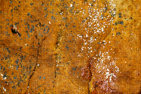 Rock texture background. Close up stone