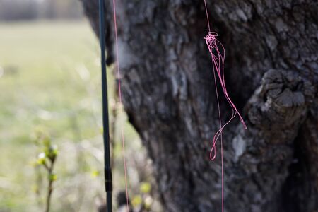 Tangled fishing cord on spinning. Tree on background