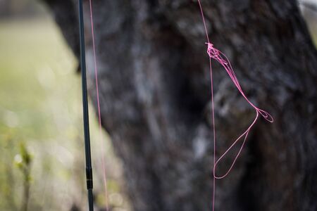 Tangled fishing cord on spinning. Tree on backgroundの写真素材