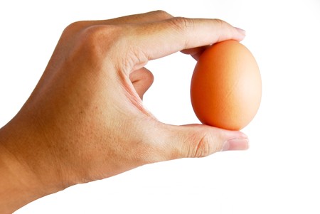 hand holding fresh egg isolatedの写真素材