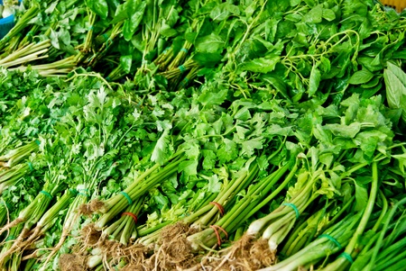 variety of fresh vegetables in market closeup background , Asia , Thailandの写真素材
