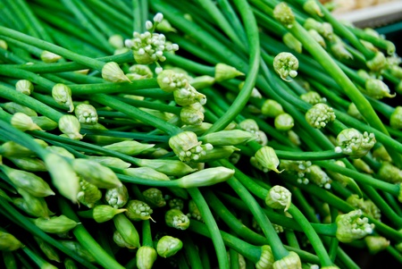 fresh chinese leek in market closeup background , Asia , Thailandの写真素材