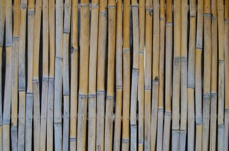 Bamboo background with details close upの写真素材