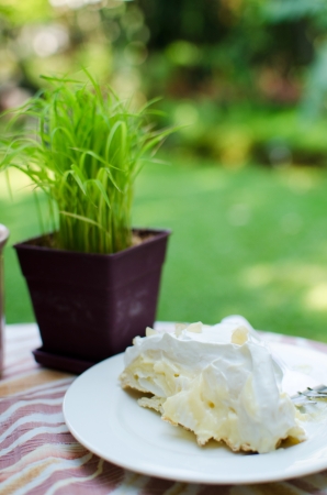 Fresh coconut cake with cream in garden backgroundの写真素材