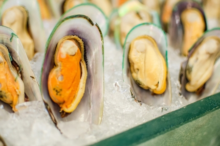 Fresh mussels on ice tray in seafood buffet set