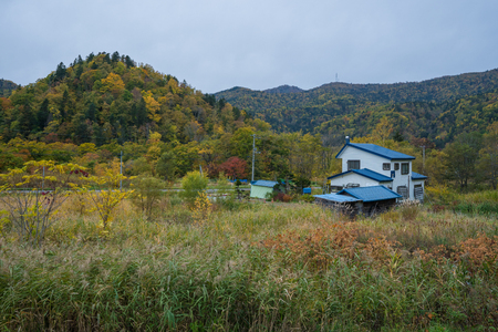 Autumn leaves view in Hokkaido, Japanの写真素材
