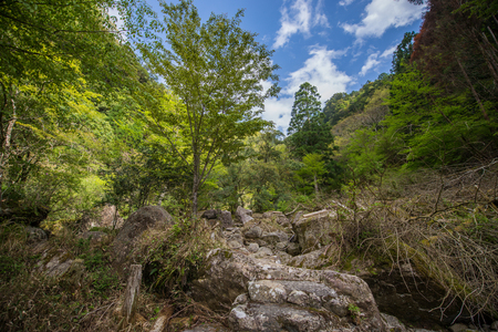 Lakeside view in deep green forest and mountain in Japanの写真素材