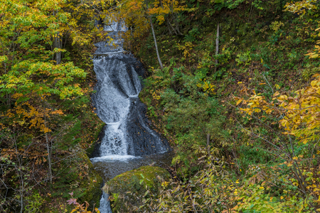 Autumn leaves view in Hokkaido, Japanの写真素材