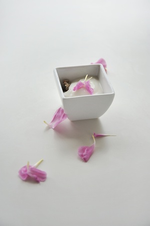 Natural yogurt with muesli in small square bowlの写真素材