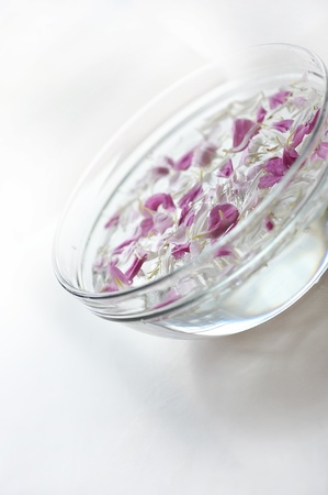 Close up of flower petals floating in bowl of water の写真素材