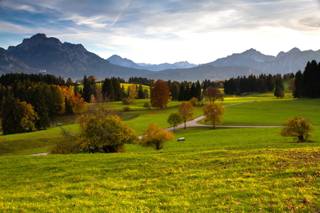 Beautiful Autumn View of Flowering Meadow with High Mountain and Cloudy Sky in the Background-Tirol,Italyの写真素材