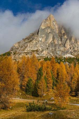 Yellow and Green Colored Larches with Dolomites in the Back and Meadows - Passo Falzarego, South Tirol, Italyの写真素材