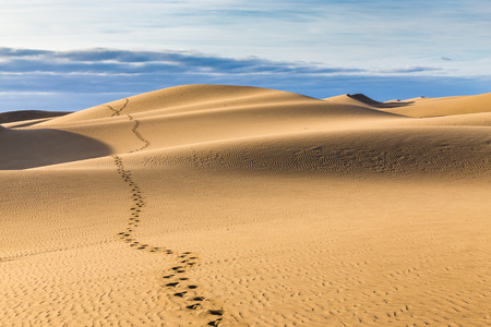 Maspalomas Sand Dunes During Sunrise - Maspalomas, Gran Canaria, Canary Islands, Spainの写真素材